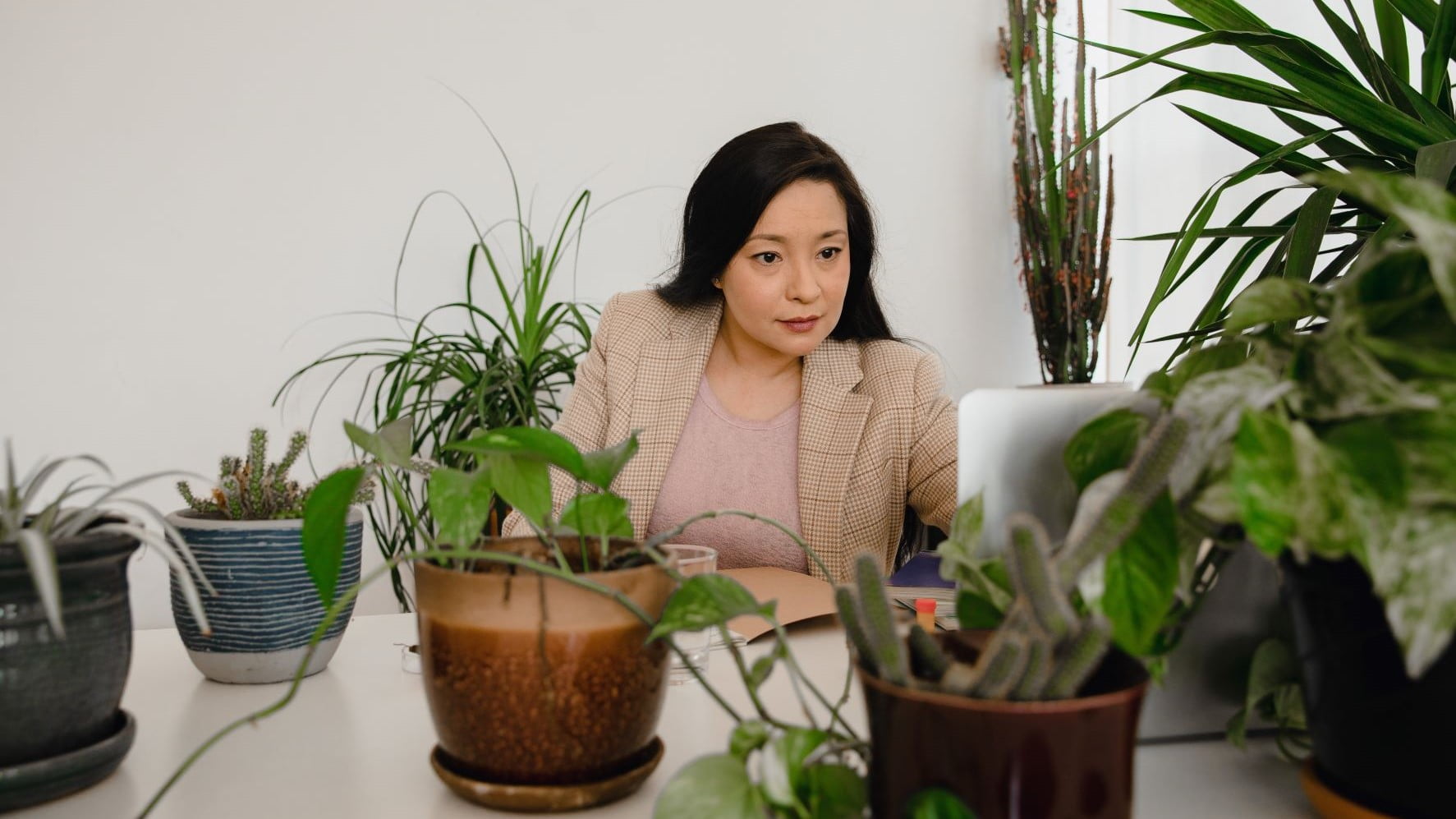 freelance graphic designer working at a desk with plants on it